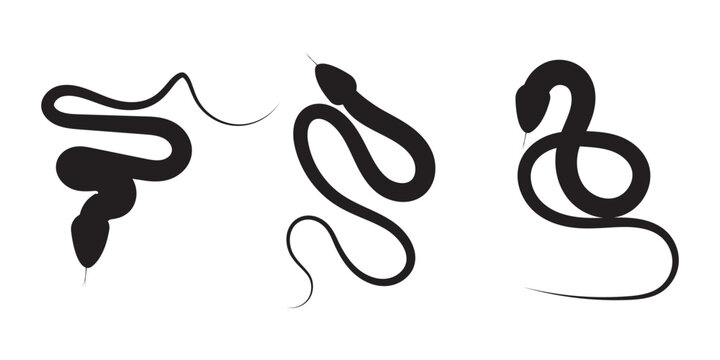 Snake silhouette isolated on white background. Set of black snakes. 