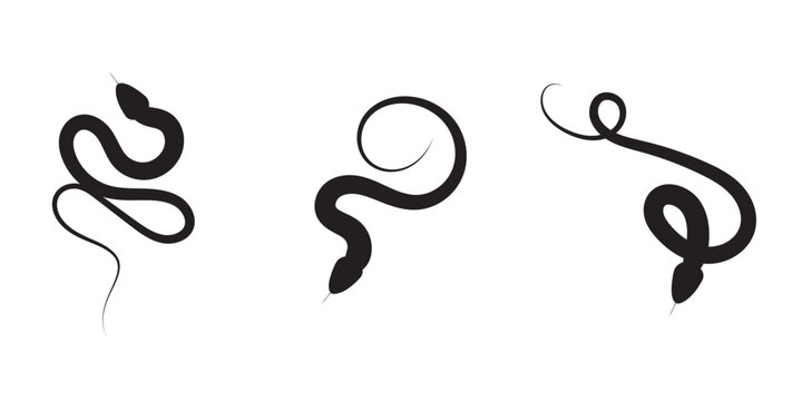 Snake silhouette isolated on white background. Set of black snakes. 