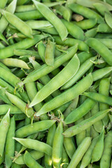 fresh green pea pods background