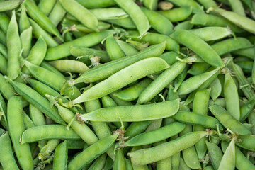fresh green pea pods background