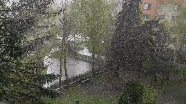 Rain with hail in the city park.