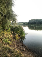 A serene riverside scene at dusk with lush greenery and tall reeds along the riverbank. A fishing...