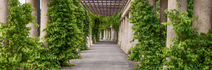 Panorama. Garden archway, pergola in a park, Wroclaw, Poland