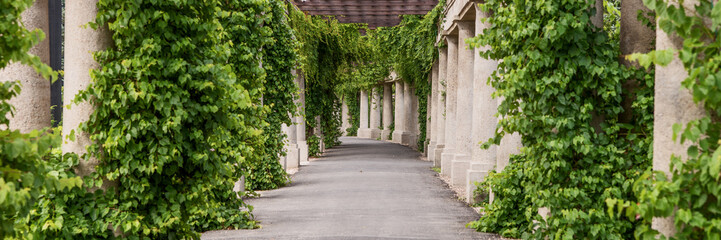 Panorama. Garden archway, pergola in a park, Wroclaw, Poland