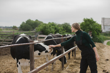 A young female farm worker strokes a cow. Farming concept.