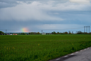 Rainbow Over Green Farm Field