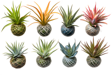 Set of 3D puzzle piece icons on transparent background, professional studio shot of subject focused graphic for general stock photography and visuals.