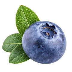 Obraz premium blueberries isolated on white background 