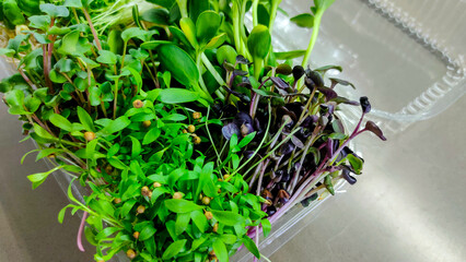 Colorful mix of assorted microgreens in plastic container