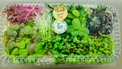 Colorful microgreens assortment in clear plastic container with thank you stickers