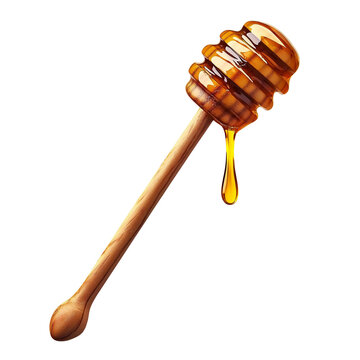 Honey dripper demonstrating fresh golden honey. PNG image, transparent background
