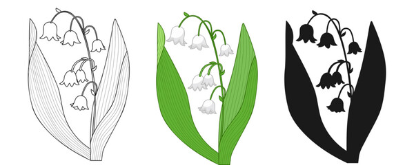 Lily Valley Spring Flower Outline Silhouette