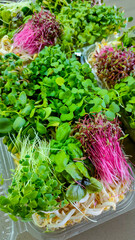 Mixed microgreens assortment in eco-friendly packaging