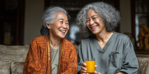 Senior caregiver explains medication to elderly woman in cozy living room during home healthcare visit