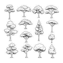 Hand-drawn architectural tree sketches in minimalist style, various tree types in side view for landscape design and CAD drafting, perfect for professional use