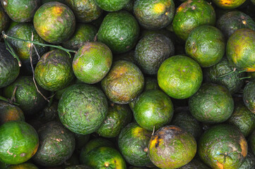 background with green oranges. Tropical fresh ripe fruits on counter in the market close-up