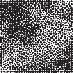 Obraz premium A dense field of varying sized black and white dots creates a textured