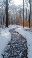 A winding stream flows through a snow-covered winter forest, sunlight filtering through bare trees