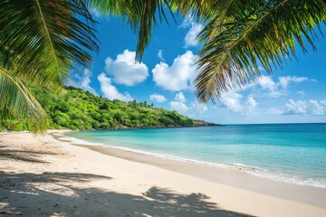 Tropical beach scene, palm trees, turquoise water, sunny day