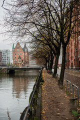 Autumn embankment with bare trees 