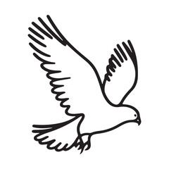 Soaring Bird Illustration A Graceful Eagle Bird Line Art Design