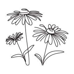 Continuous Line Art Illustration of Daisy Flowers in Bloom