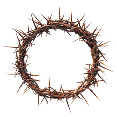 Fototapeta premium A crown of thorns made of brown branches on a black background