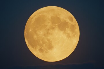 Obraz premium Full golden moon, dramatic celestial sight
