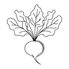 Beetroot Vegetable Line Art Illustration for Healthy Food and Garden Designs