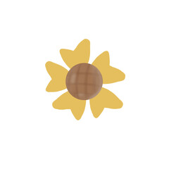 sunflower seeds isolated on white