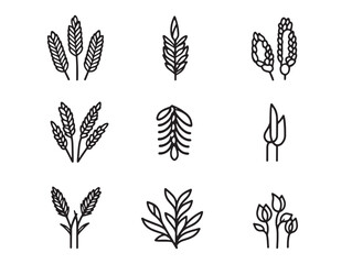 vector buckwheat food line art for cooking themed graphics