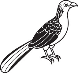 Koel Bird Line Art and Silhouette – Single Black and White Vector Illustration of Asian Cuckoo