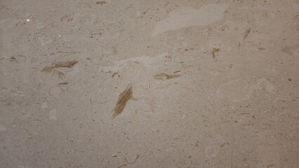 A beige-colored stone or marble surface with small, irregular patches and darker streaks, possibly...