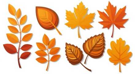 Colorful autumn leaves in various shapes and shades.