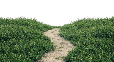 Png of A serene pathway cuts through lush green grass, inviting exploration and tranquility.