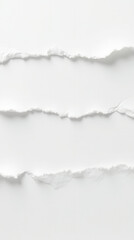 Two Horizontal Tears in a White Paper Sheet.