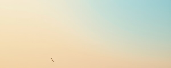 Bird Silhouette in Gradient Sky