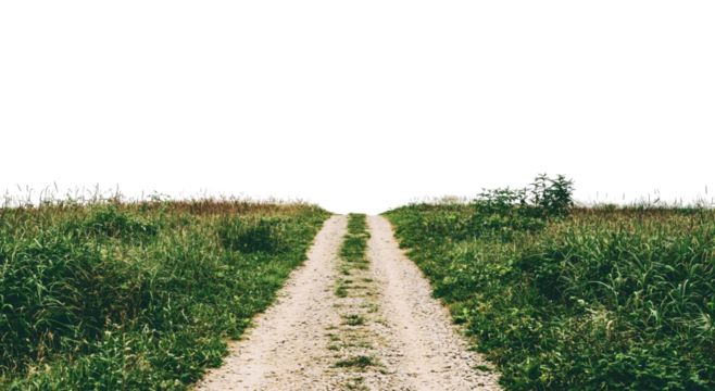 Png of A tranquil dirt road surrounded by lush greenery, inviting exploration and serenity.