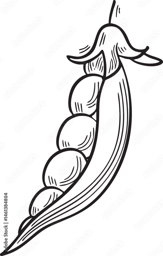 Poster a stylized of a pea pod with multiple developing peas.