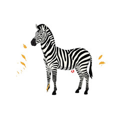 Obraz premium Majestic Zebra Standing Tall Against a Black Background African Wildlife Animal