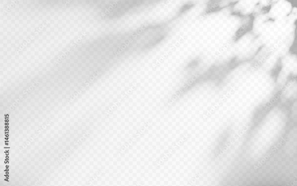 Poster abstract shadow overlay from foliage on a transparent background.