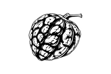 Bone fruit AI-style outline