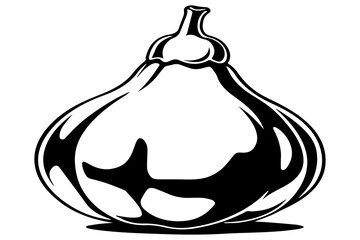 Bottle gourd fruit stylized vector