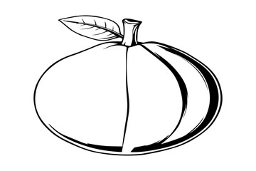 Brazilian guava smooth oval sketch