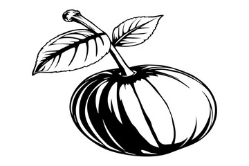 Brazilian cherry smooth ink vector