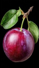 Fototapeta premium Ripe plum with leaves, isolated on black, close-up. Vibrant edible fruit with glossy skin.