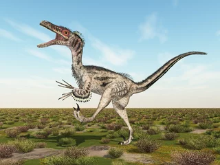 Fototapeten Dinosaurier Velociraptor in einer Landschaft © Michael Rosskothen