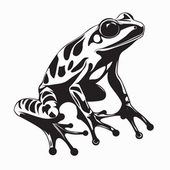 Beautiful Amazon Milk Frog image vector isolated on white background.