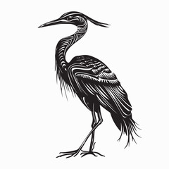 Bittern Bird Vector Images. Illustration of a Bittern Bird image isolated on white background.