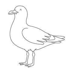 Simple Line Drawing of a Seagull Bird Illustration